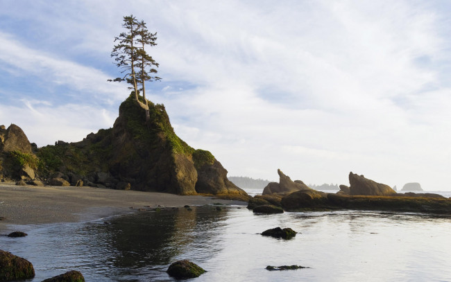 Обои картинки фото природа