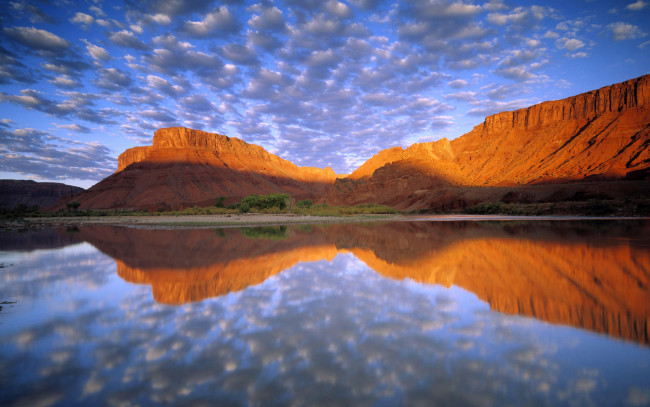 Обои картинки фото природа