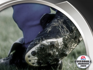 Картинка видео игры total club manager 2004