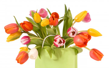 Картинка цветы тюльпаны