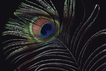 Картинка разное