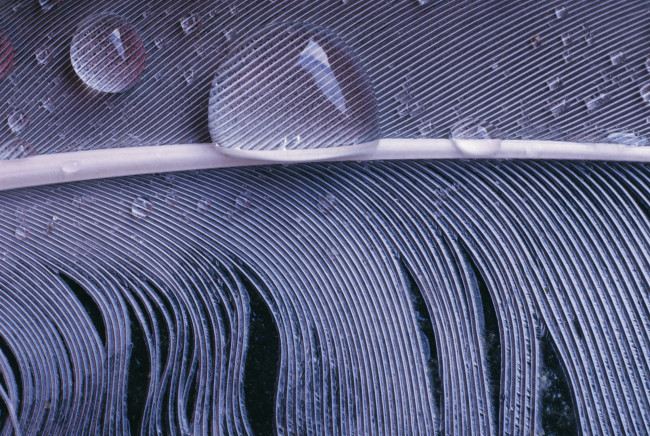 Обои картинки фото разное