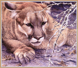 Картинка robert bateman рисованные пума кугуар