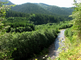 Картинка природа реки озера украина закарпатье р  Яловичера