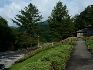 Картинка roan mountain state park природа парк сша