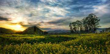 Картинка природа восходы закаты луг