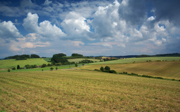 Картинка природа поля деревня деревья