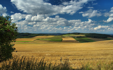 Картинка природа поля облака