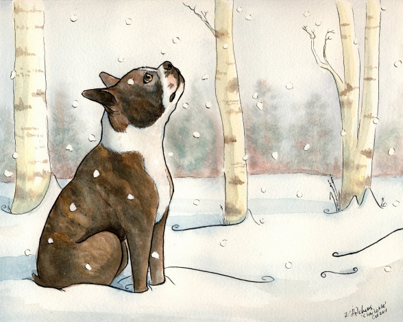 Обои картинки фото рисованные, животные, собаки, собака