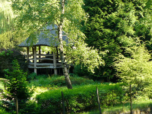 Обои картинки фото природа, парк, деревья, беседка