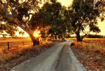 Картинка природа дороги трава поле деревья закат