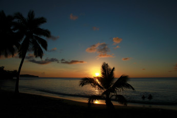 Картинка природа восходы закаты тропики