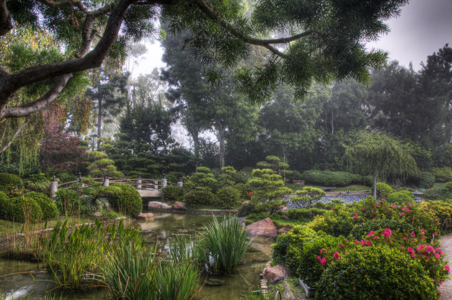 Обои картинки фото earl, burns, miller, japanese, garden, california, usa, природа, парк, растения, японский, сад