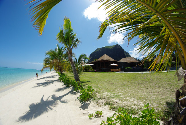 Обои картинки фото природа, тропики, отдых, пальмы, пляж