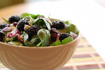 Картинка еда салаты +закуски салат зелень ежевика