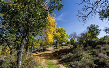 Картинка природа дороги осень небо пейзаж деревья дорога склон