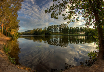 Картинка природа реки озера лес река