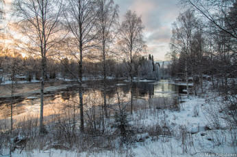 Картинка природа реки озера лес река