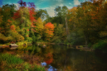 Картинка природа реки озера лес река