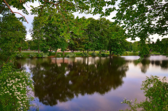 Картинка природа реки озера лес река