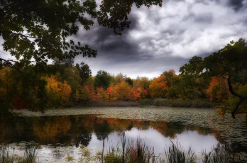 Картинка природа реки озера лес река