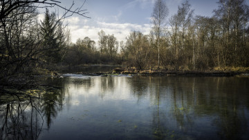 Картинка природа реки озера лес река