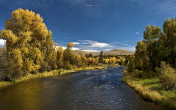 Картинка природа реки озера река лес