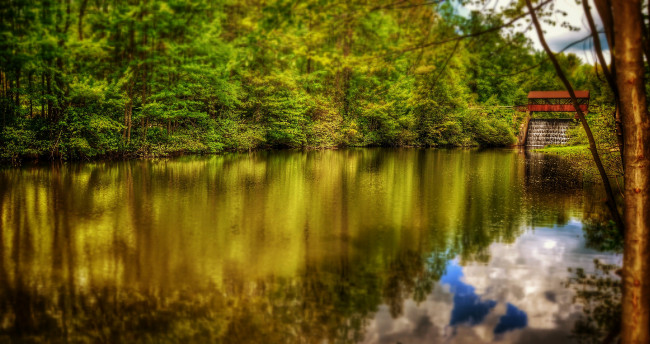 Обои картинки фото природа, реки, озера, река, лес