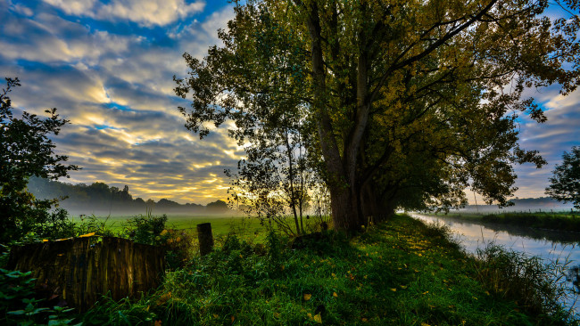Обои картинки фото природа, реки, озера, лес, река