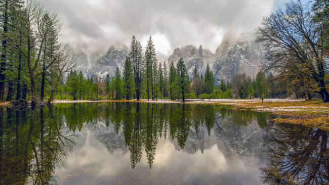 Обои картинки фото природа, реки, озера, лес, река