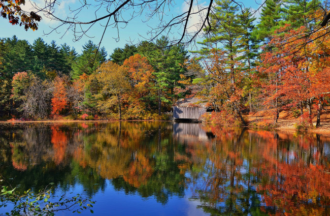 Обои картинки фото природа, реки, озера, река, лес