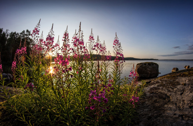 Обои картинки фото природа, реки, озера, лес, река