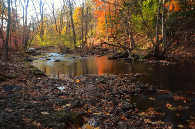 Обои картинки фото природа, реки, озера, лес, река