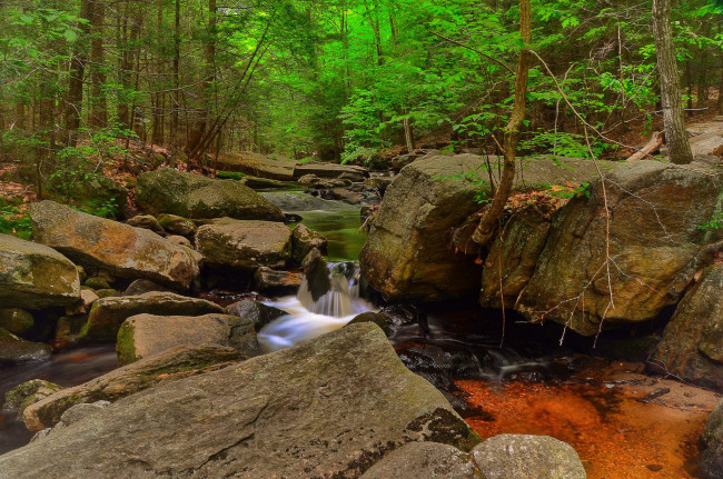 Обои картинки фото природа, реки, озера, лес, река