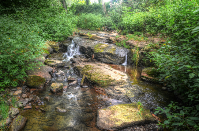 Обои картинки фото природа, реки, озера, река, лес