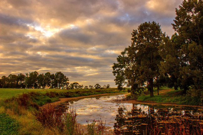 Обои картинки фото природа, реки, озера, лес, река