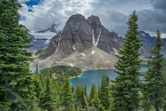 Обои картинки фото природа, реки, озера, лес, река