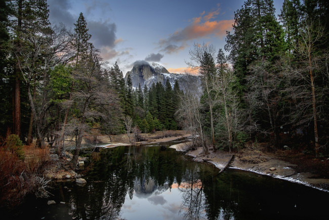 Обои картинки фото природа, реки, озера, река, лес