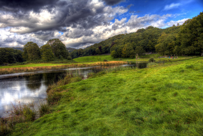 Обои картинки фото природа, реки, озера, лес, река