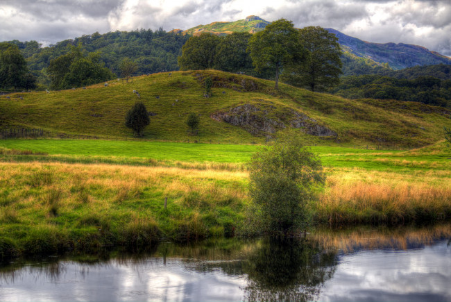 Обои картинки фото природа, реки, озера, лес, река