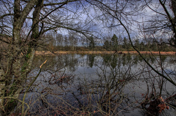 Картинка природа реки озера лес река