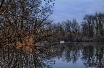 Картинка природа реки озера лес река