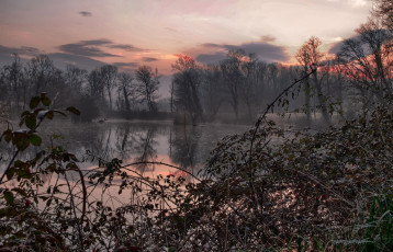 Картинка природа реки озера лес река