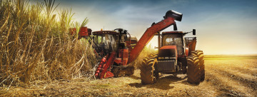 обоя техника, комбайны, case