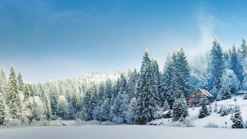 Картинка природа зима деревья снег