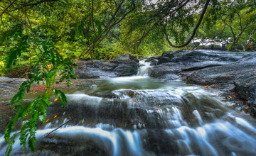 Картинка природа водопады лес река водопад
