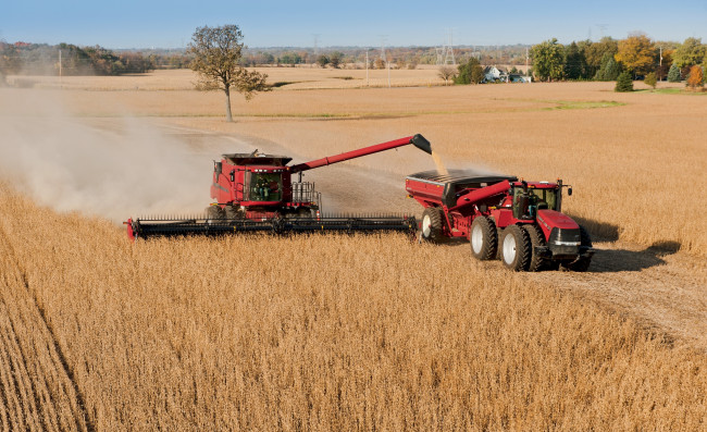 Обои картинки фото техника, комбайны, case