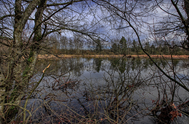 Обои картинки фото природа, реки, озера, лес, река