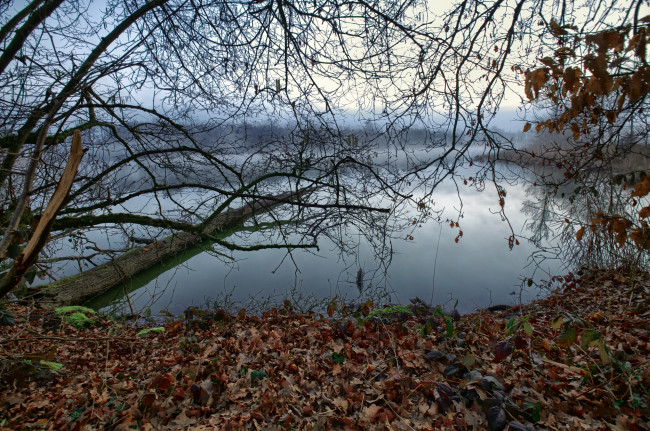 Обои картинки фото природа, реки, озера, лес, река