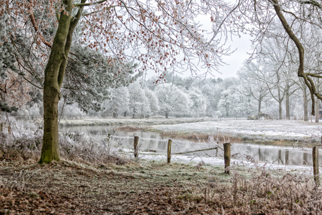 Обои картинки фото природа, реки, озера, лес, река